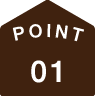 POINT 01